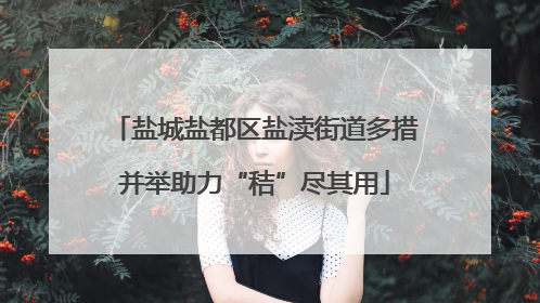 盐城盐都区盐渎街道多措并举助力“秸”尽其用