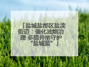 盐城盐都区盐渎街道：强化油烟治理 多措并举守护“盐城蓝”