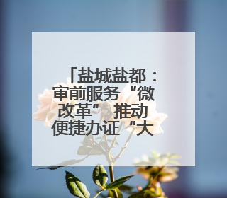 盐城盐都：审前服务“微改革” 推动便捷办证“大提升”