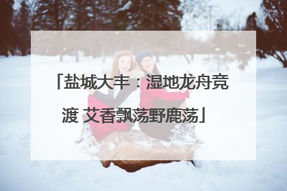 盐城大丰：湿地龙舟竞渡 艾香飘荡野鹿荡