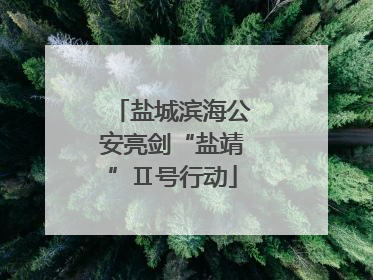 盐城滨海公安亮剑“盐靖”Ⅱ号行动