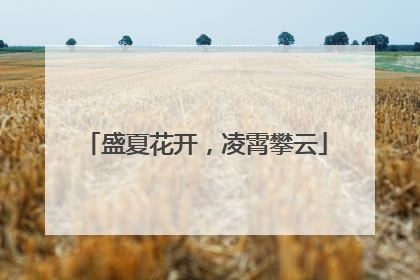盛夏花开，凌霄攀云