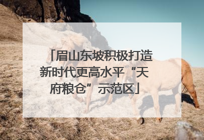 眉山东坡积极打造新时代更高水平“天府粮仓”示范区