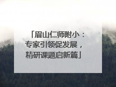 眉山仁师附小：专家引领促发展，精研课题启新篇