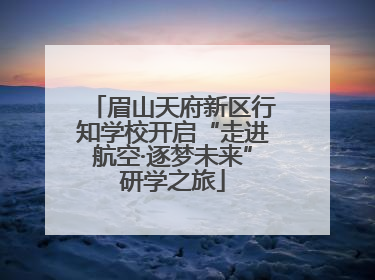 眉山天府新区行知学校开启“走进航空·逐梦未来”研学之旅