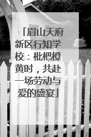 眉山天府新区行知学校：枇杷橙黄时，共赴一场劳动与爱的盛宴