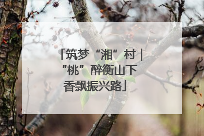 筑梦“湘”村｜“桃”醉衡山下 香飘振兴路
