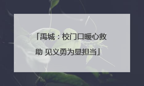 禹城：校门口暖心救助 见义勇为显担当