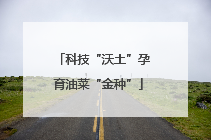 科技“沃土”孕育油菜“金种”