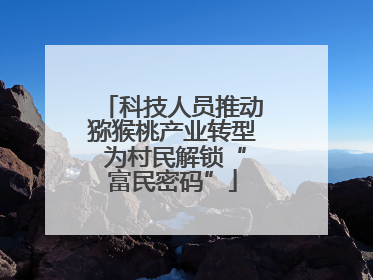 科技人员推动猕猴桃产业转型 为村民解锁“富民密码”