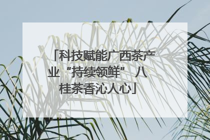 科技赋能广西茶产业“持续领鲜” 八桂茶香沁人心