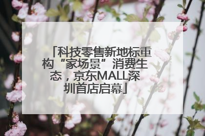 科技零售新地标重构“家场景”消费生态，京东MALL深圳首店启幕