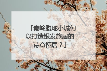 秦岭腹地小城何以打造银发旅居的诗意栖居？