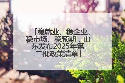 稳就业、稳企业、稳市场、稳预期，山东发布2025年第二批政策清单