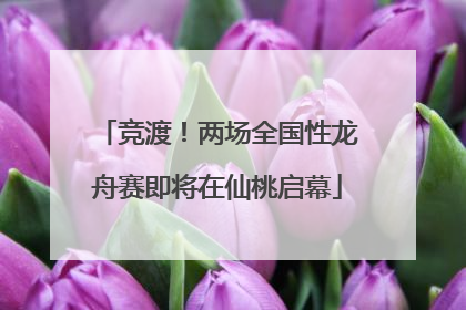竞渡！两场全国性龙舟赛即将在仙桃启幕