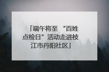端午将至 “百姓点检日”活动走进枝江市丹阳社区