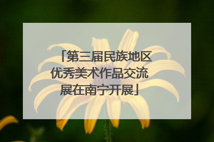 第三届民族地区优秀美术作品交流展在南宁开展