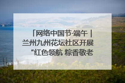 网络中国节·端午｜兰州九州花坛社区开展“红色领航 粽香敬老”端午主题活动