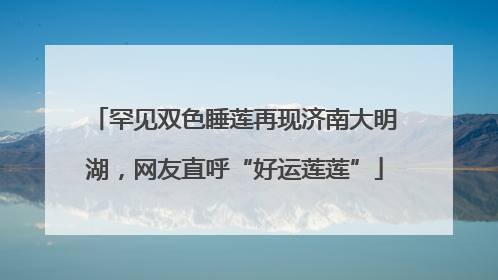 罕见双色睡莲再现济南大明湖，网友直呼“好运莲莲”