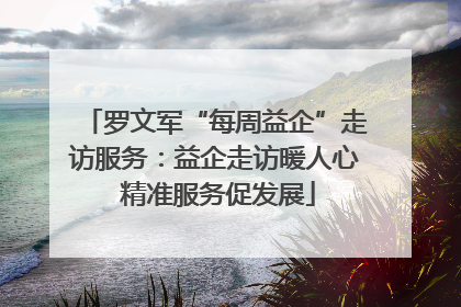 罗文军“每周益企”走访服务：益企走访暖人心 精准服务促发展