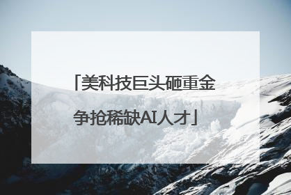 美科技巨头砸重金争抢稀缺AI人才