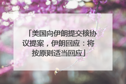 美国向伊朗提交核协议提案，伊朗回应：将按原则适当回应