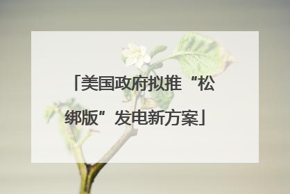美国政府拟推“松绑版”发电新方案