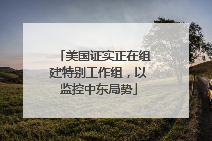 美国证实正在组建特别工作组，以监控中东局势