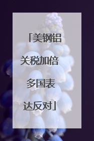 美钢铝关税加倍 多国表达反对