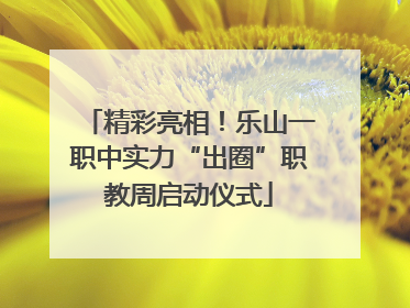 精彩亮相！乐山一职中实力“出圈”职教周启动仪式