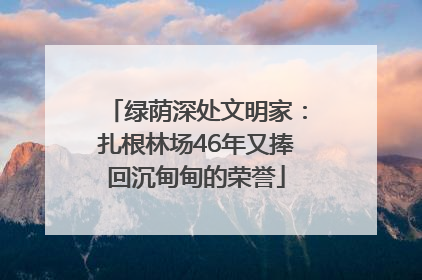 绿荫深处文明家：扎根林场46年又捧回沉甸甸的荣誉