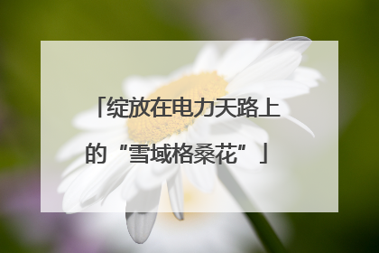 绽放在电力天路上的“雪域格桑花”