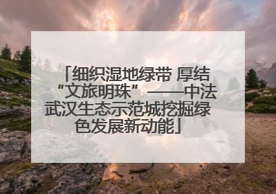 细织湿地绿带 厚结“文旅明珠”——中法武汉生态示范城挖掘绿色发展新动能