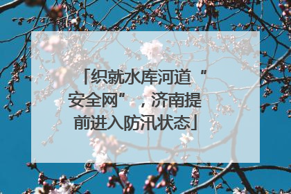 织就水库河道“安全网”，济南提前进入防汛状态