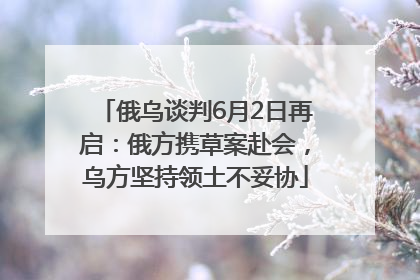 俄乌谈判6月2日再启：俄方携草案赴会，乌方坚持领土不妥协