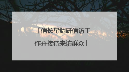 信长星调研信访工作并接待来访群众