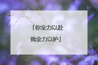 你全力以赴 我全力以护