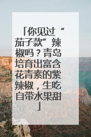 你见过“茄子款”辣椒吗？青岛培育出富含花青素的紫辣椒，生吃自带水果甜