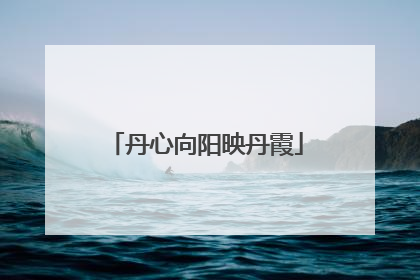 丹心向阳映丹霞