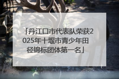 丹江口市代表队荣获2025年十堰市青少年田径锦标团体第一名