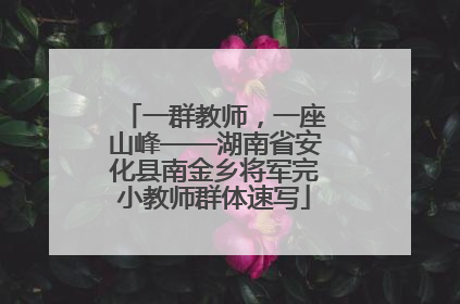 一群教师，一座山峰——湖南省安化县南金乡将军完小教师群体速写