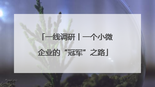 一线调研丨一个小微企业的“冠军”之路