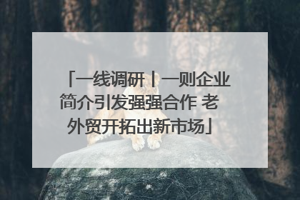 一线调研丨一则企业简介引发强强合作 老外贸开拓出新市场