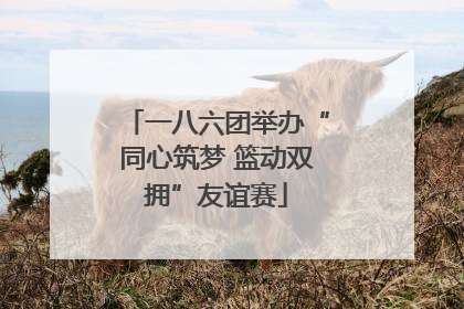 一八六团举办“同心筑梦 篮动双拥”友谊赛
