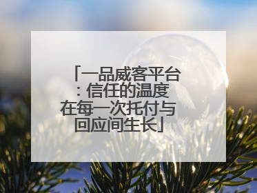 一品威客平台：信任的温度 在每一次托付与回应间生长