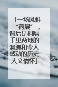 一场风雅“荷展”，背后是相隔千里两地的渊源和令人感动的历史人文情怀