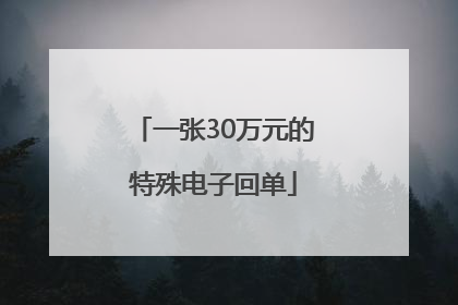 一张30万元的特殊电子回单