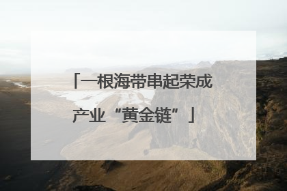 一根海带串起荣成产业“黄金链”