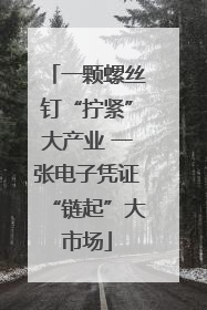 一颗螺丝钉“拧紧”大产业 一张电子凭证“链起”大市场
