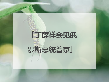 丁薛祥会见俄罗斯总统普京